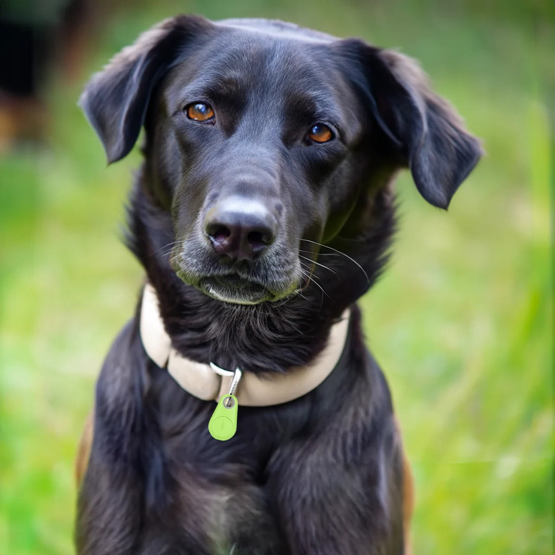Smart Waterproof GPS Tracker for Pets
