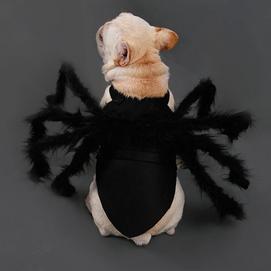 Funny Spider Costume for Pets