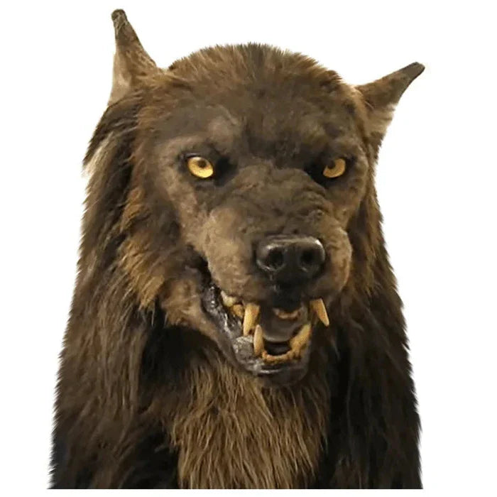 Scary Wolf Mask for Halloween Costume and Masquerade Party