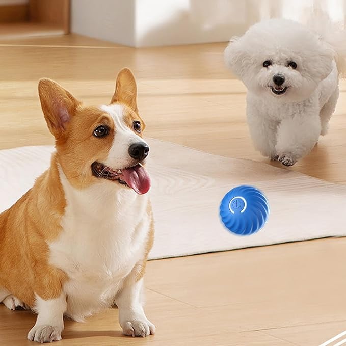 Interactive Dog Teasing Ball, BarkBounce Toy for Fun Playtime