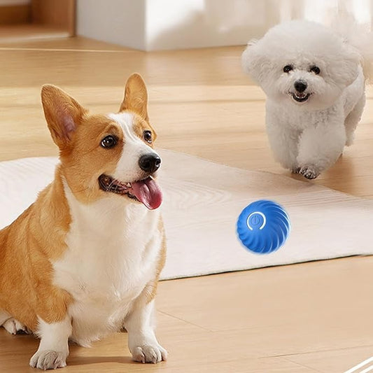 Interactive Dog Teasing Ball, BarkBounce Toy for Fun Playtime