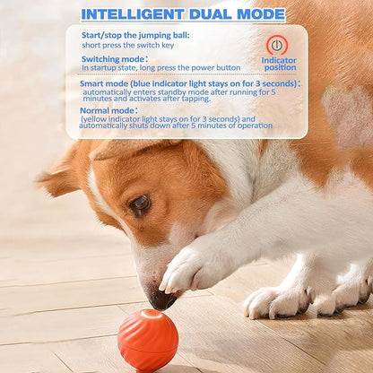 Interactive Dog Teasing Ball, BarkBounce Toy for Fun Playtime