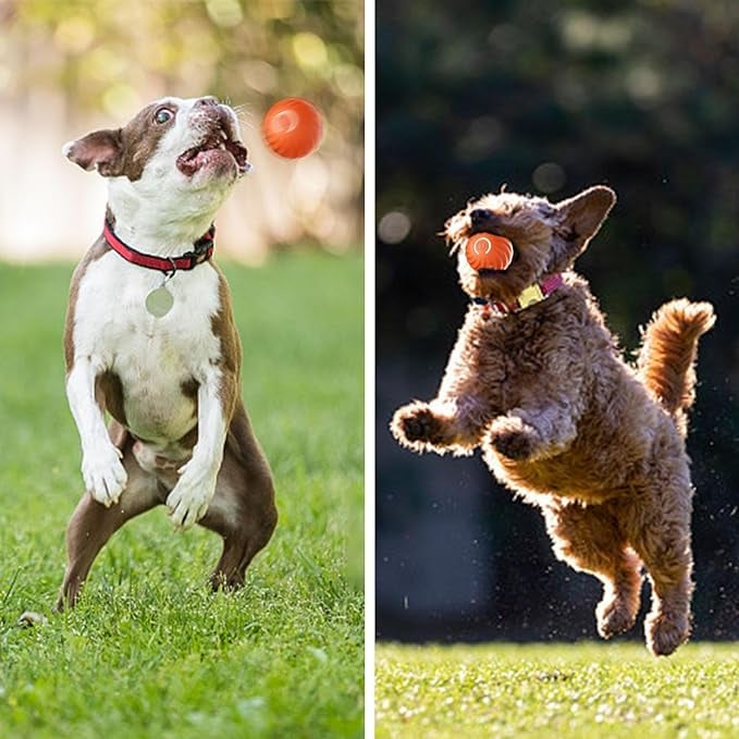 Interactive Dog Teasing Ball, BarkBounce Toy for Fun Playtime