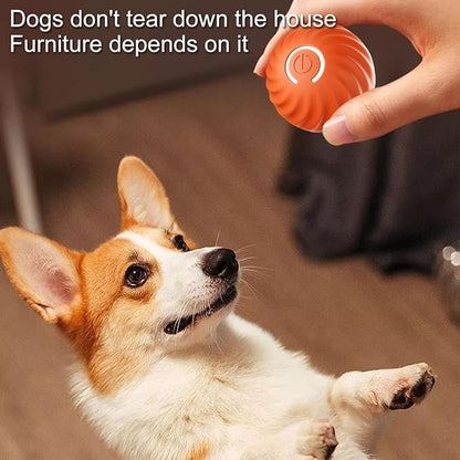 Interactive Dog Teasing Ball, BarkBounce Toy for Fun Playtime