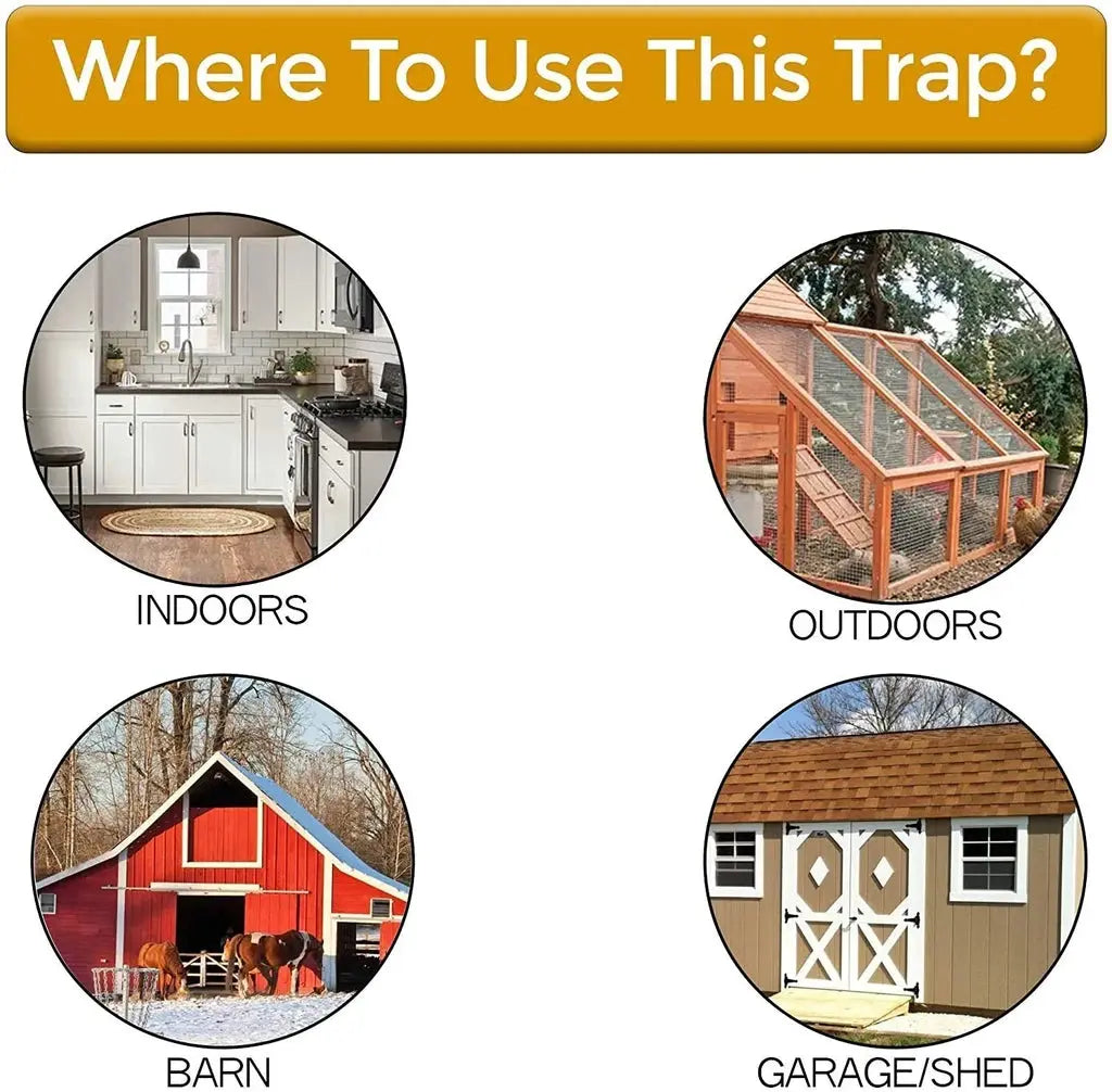 Flip Lid Bucket Mouse Trap marnetic