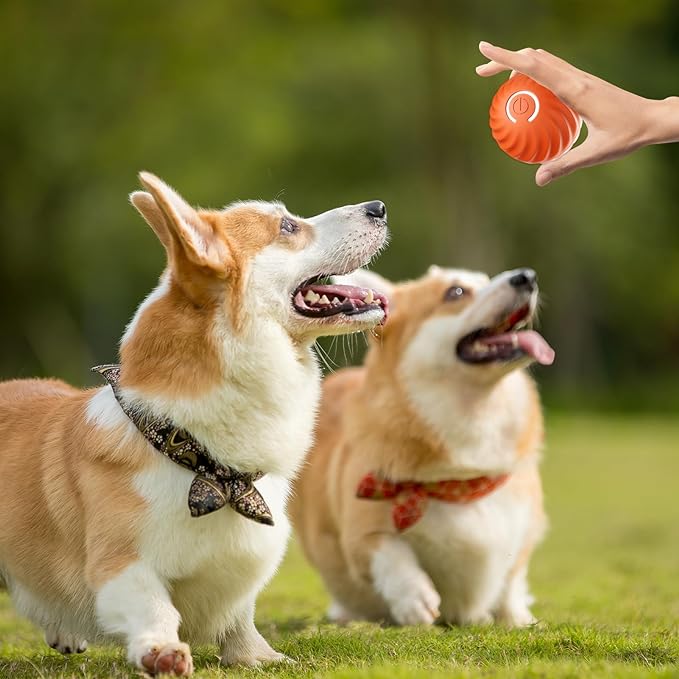 Interactive Dog Teasing Ball, BarkBounce Toy for Fun Playtime