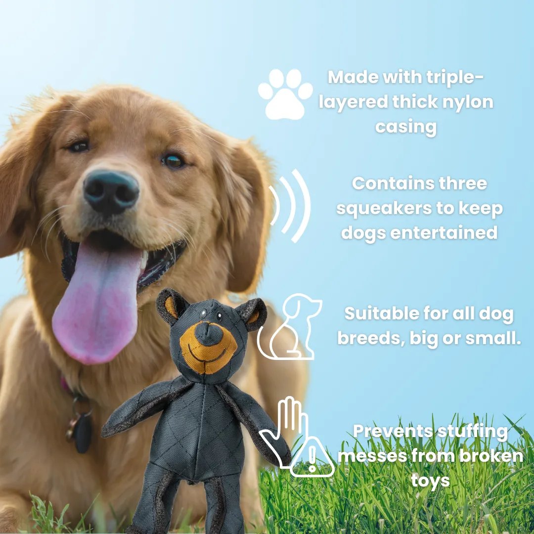Durable Chew Toy for Dogs, BearTough Design