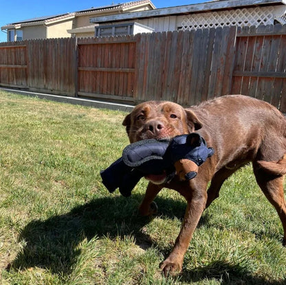 Durable Chew Toy for Dogs, BearTough Design