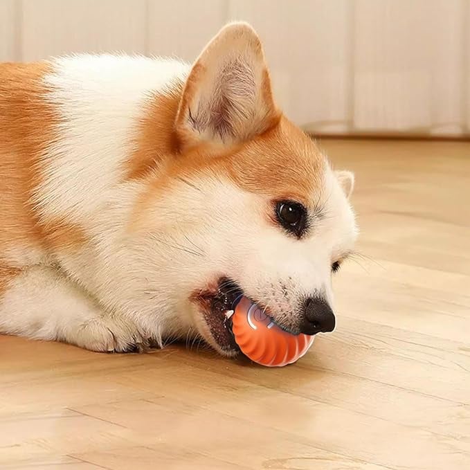 Interactive Dog Teasing Ball, BarkBounce Toy for Fun Playtime