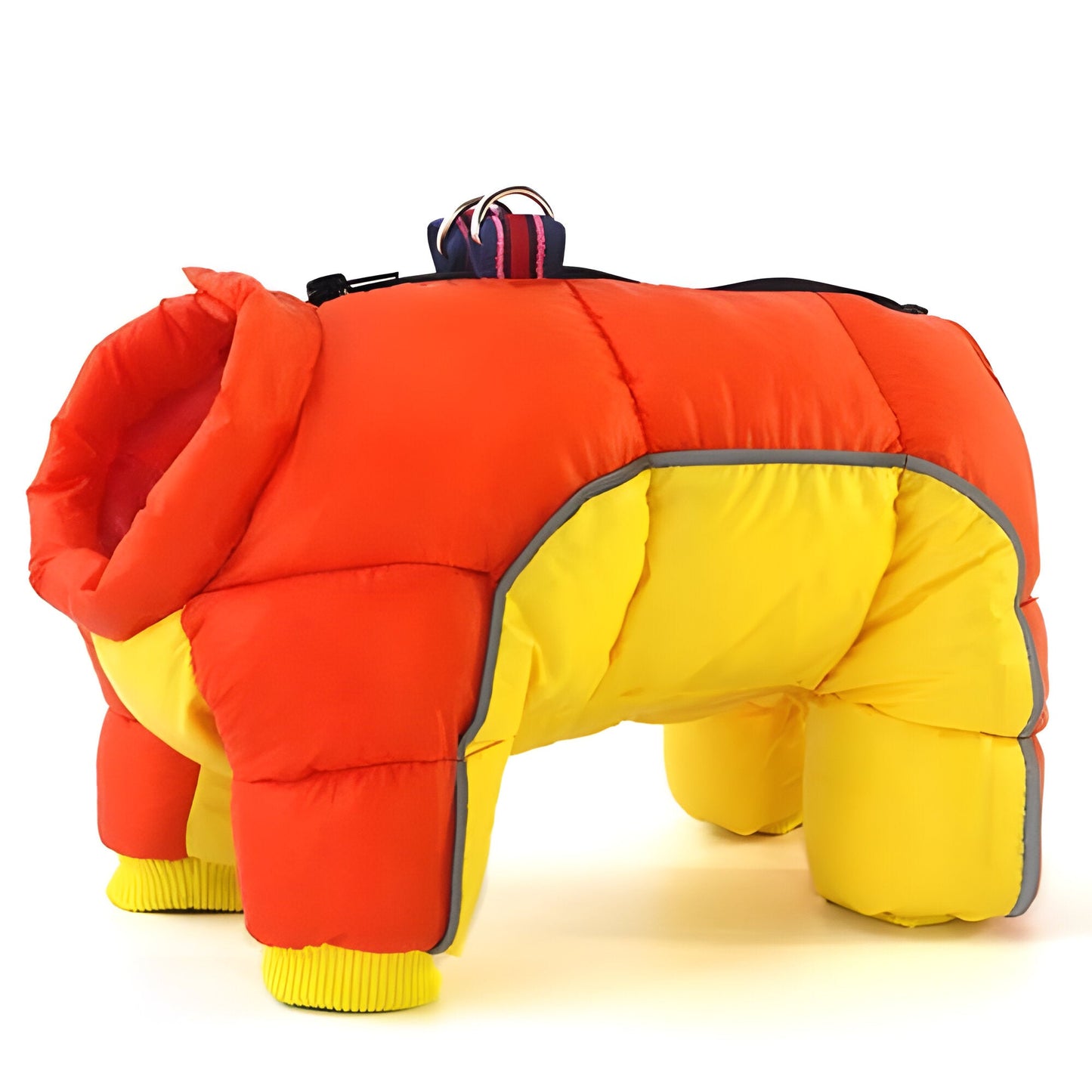 Water-Resistant Dog Parka and Coat for Cold Weather