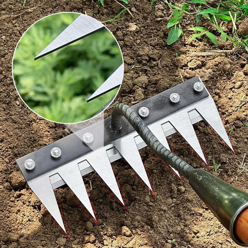 Versatile Lawn Rakes with Comfortable Handle