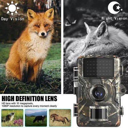 Night Vision Outdoor Wildlife Camera for Animal Monitoring