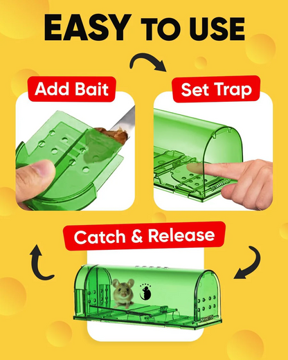 4-Pack Mouse Traps, Effective Rodent Control Solution