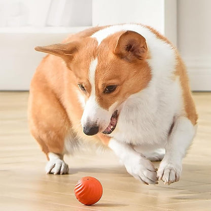 Interactive Dog Teasing Ball, BarkBounce Toy for Fun Playtime