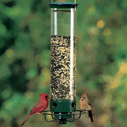 Squirrel Proof Bird Feeder with Durable Design