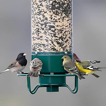 Squirrel Proof Bird Feeder with Durable Design