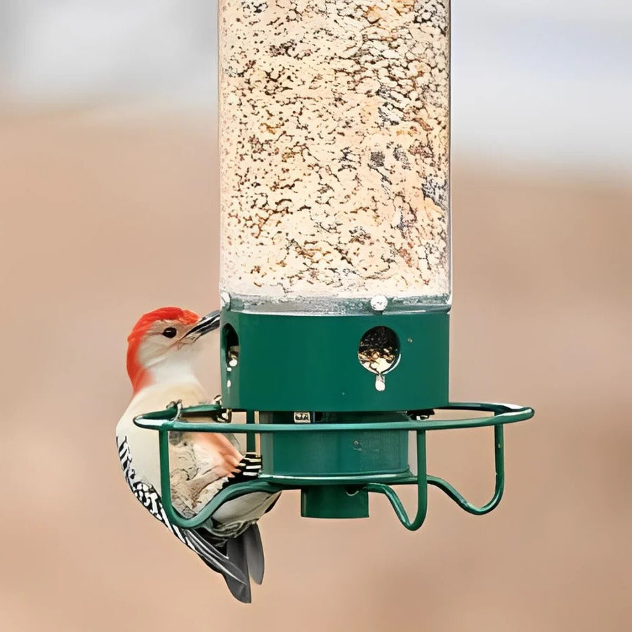 Squirrel Proof Bird Feeder with Durable Design