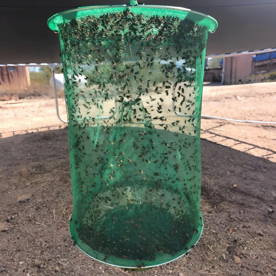 Stable Fly Trap for Effective Insect Control