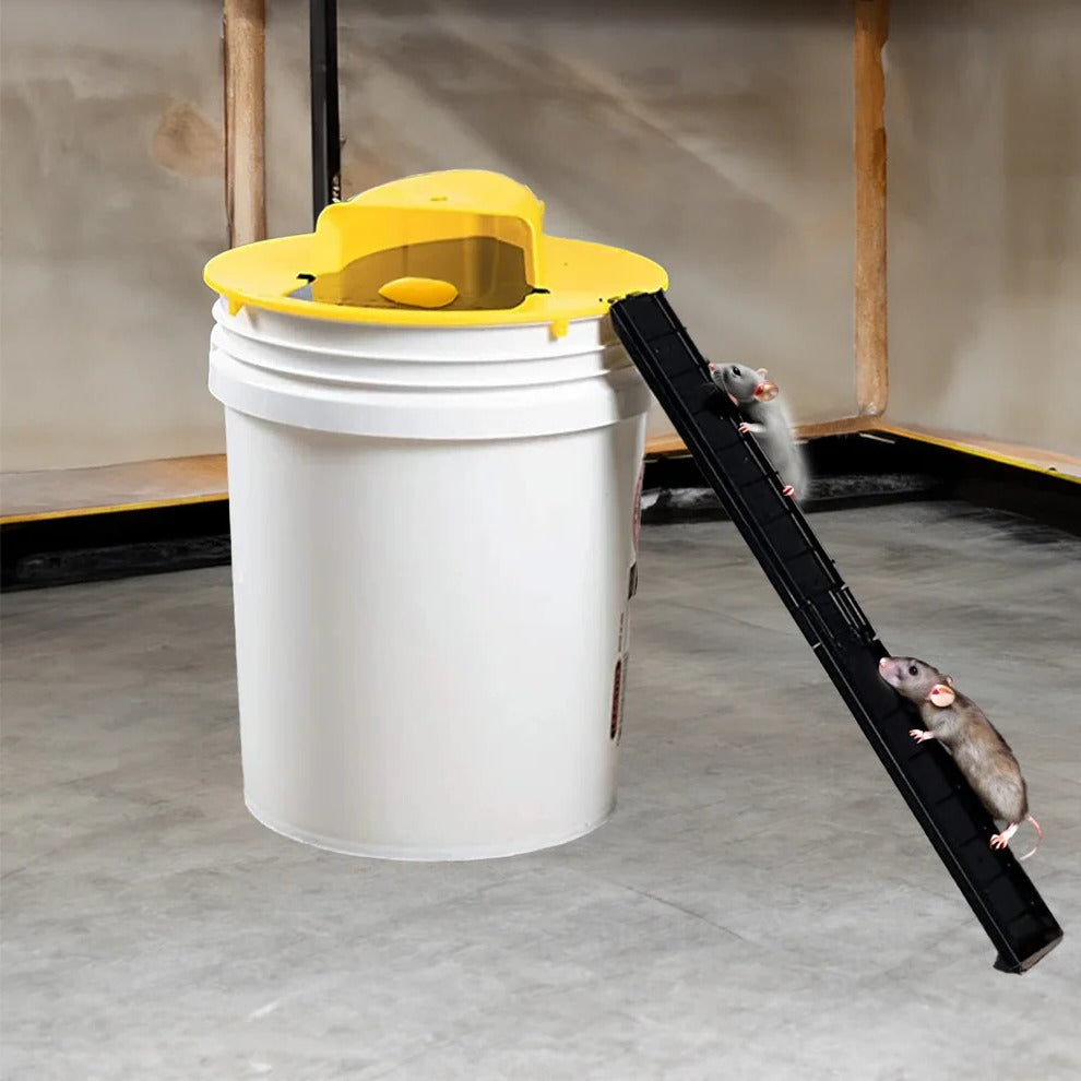 Humane Mouse Trap, Reusable Bucket Design for Live Capture