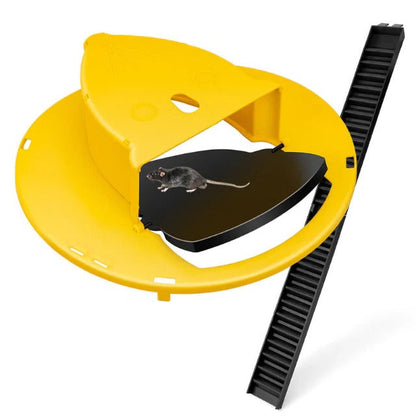 Humane Mouse Trap, Reusable Bucket Design for Live Capture