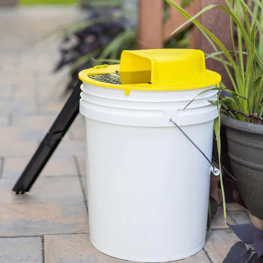 Humane Mouse Trap, Reusable Bucket Design for Live Capture