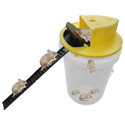 Humane Mouse Trap, Reusable Bucket Design for Live Capture
