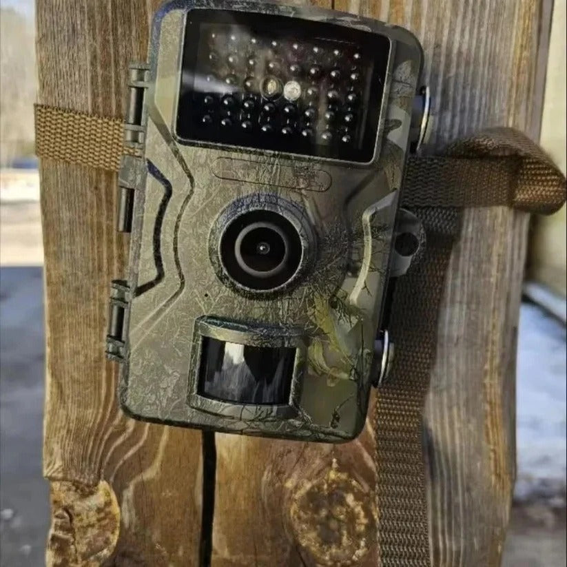 Night Vision Outdoor Wildlife Camera for Animal Monitoring