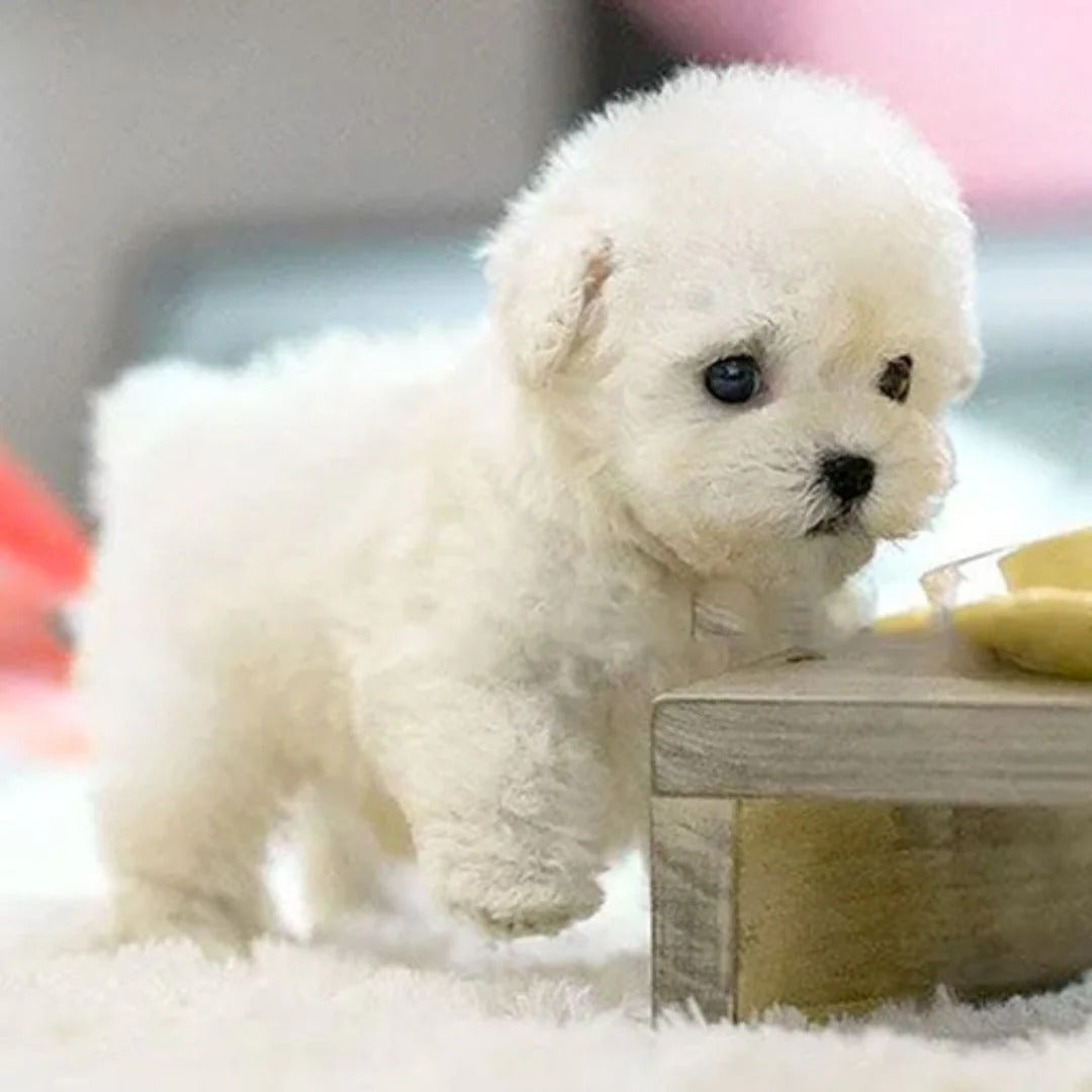 Realistic Robotic Puppy Toy with Interactive Features
