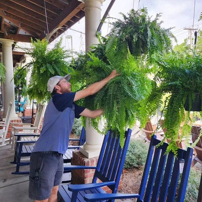 Artificial Boston Fern for Porch and Balcony Decoration