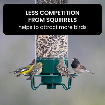 Squirrel Proof Bird Feeder