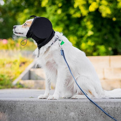 Dog Ear Muffs for Noise Reduction and Hearing Protection