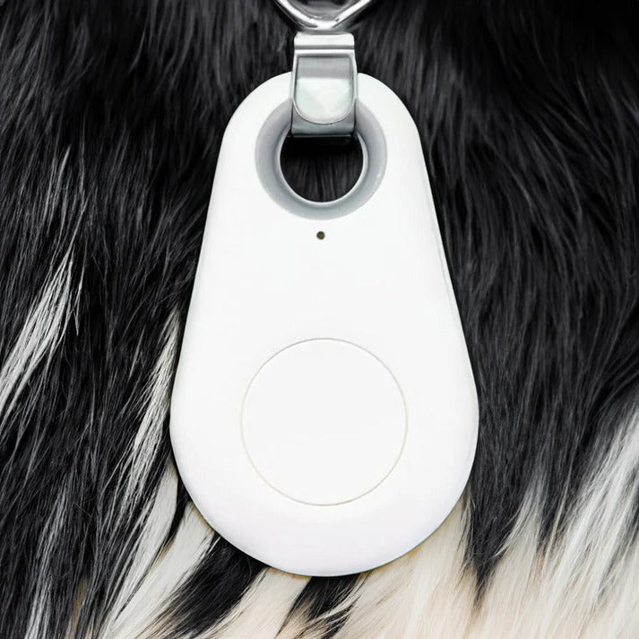 Smart Waterproof GPS Tracker for Pets