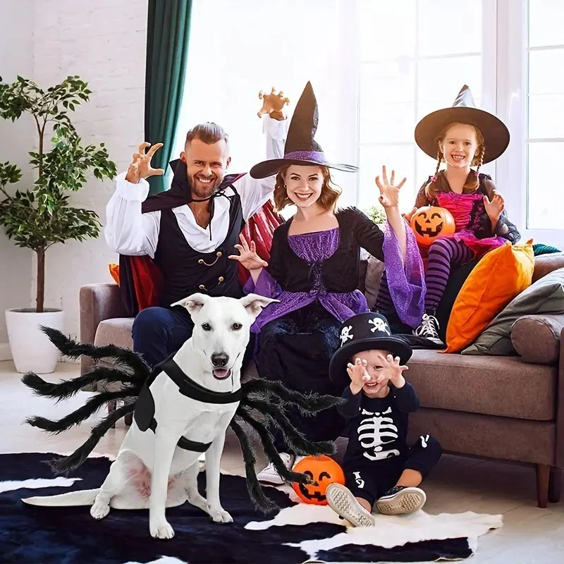 Funny Spider Costume for Pets