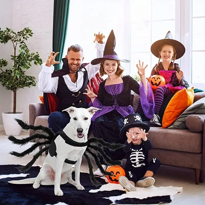 Funny Spider Costume for Pets