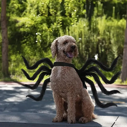 Funny Spider Costume for Pets