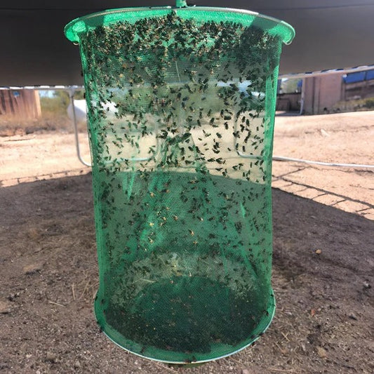 Stable Fly Trap