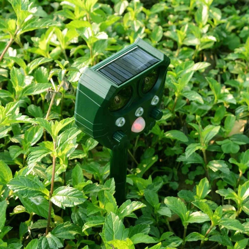Ultrasonic Cat Repellent, Noise and Sonar Deterrent for Cats, Foxes, Rats, Squirrels, Dogs