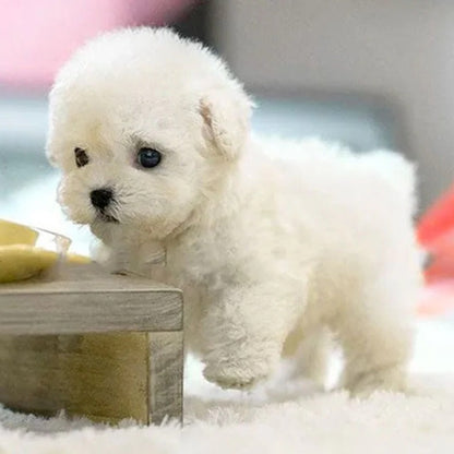 Interactive Robot Puppy Toy, Realistic Companion for Kids