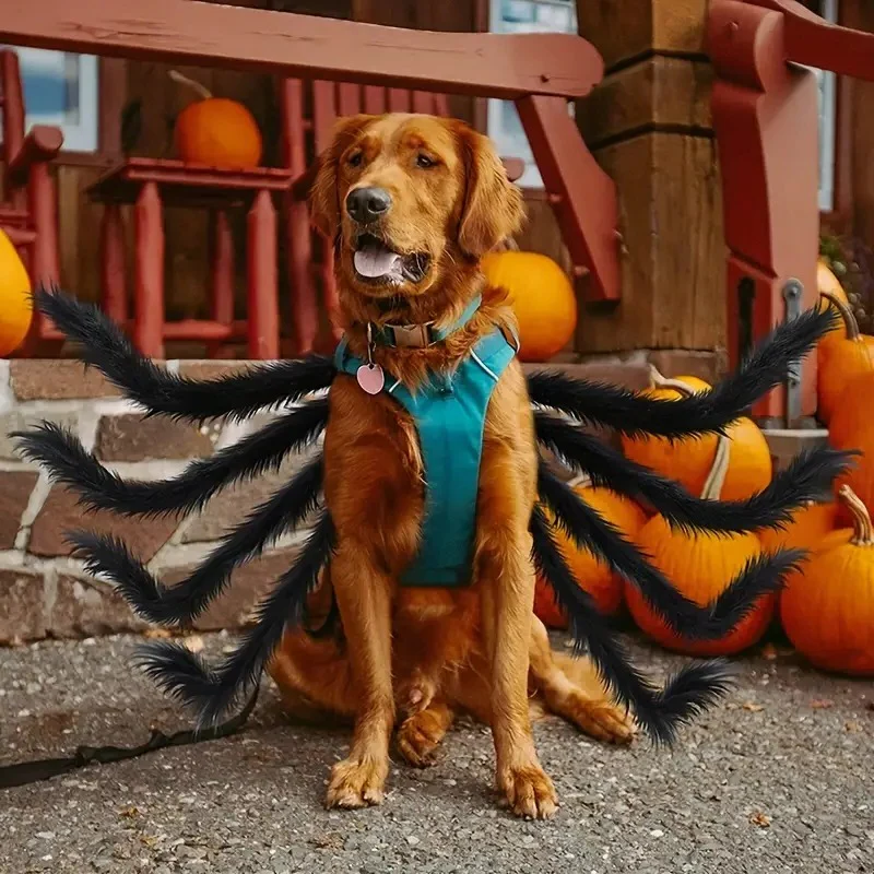 Funny Spider Costume for Pets