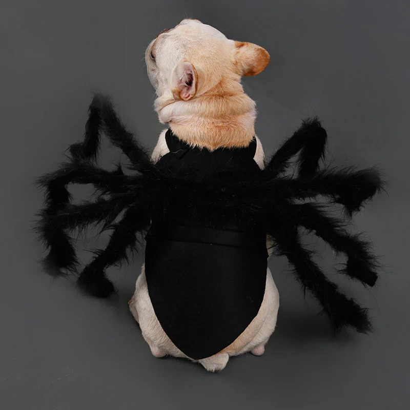 Funny Spider Costume for Pets