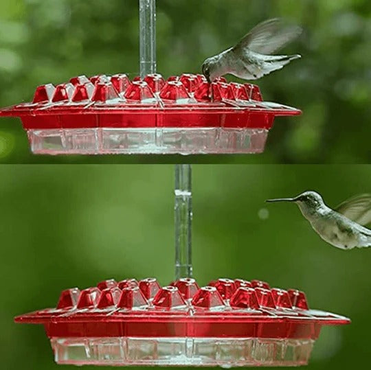 Ant Proof Hummingbird Feeder with Hanging Hook
