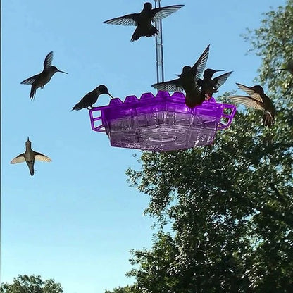 Ant Proof Hummingbird Feeder with Hanging Hook
