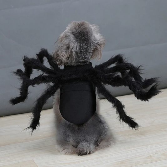 Funny Spider Costume for Pets