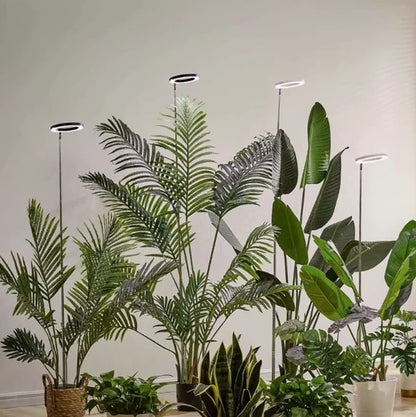 Grow Light For Indoor Plants