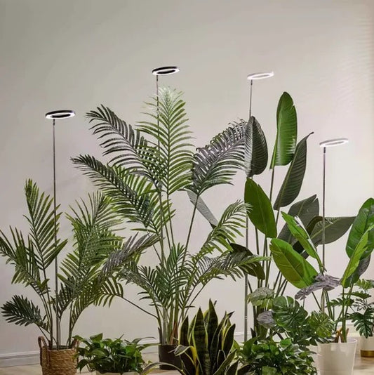 Grow Light For Indoor Plants