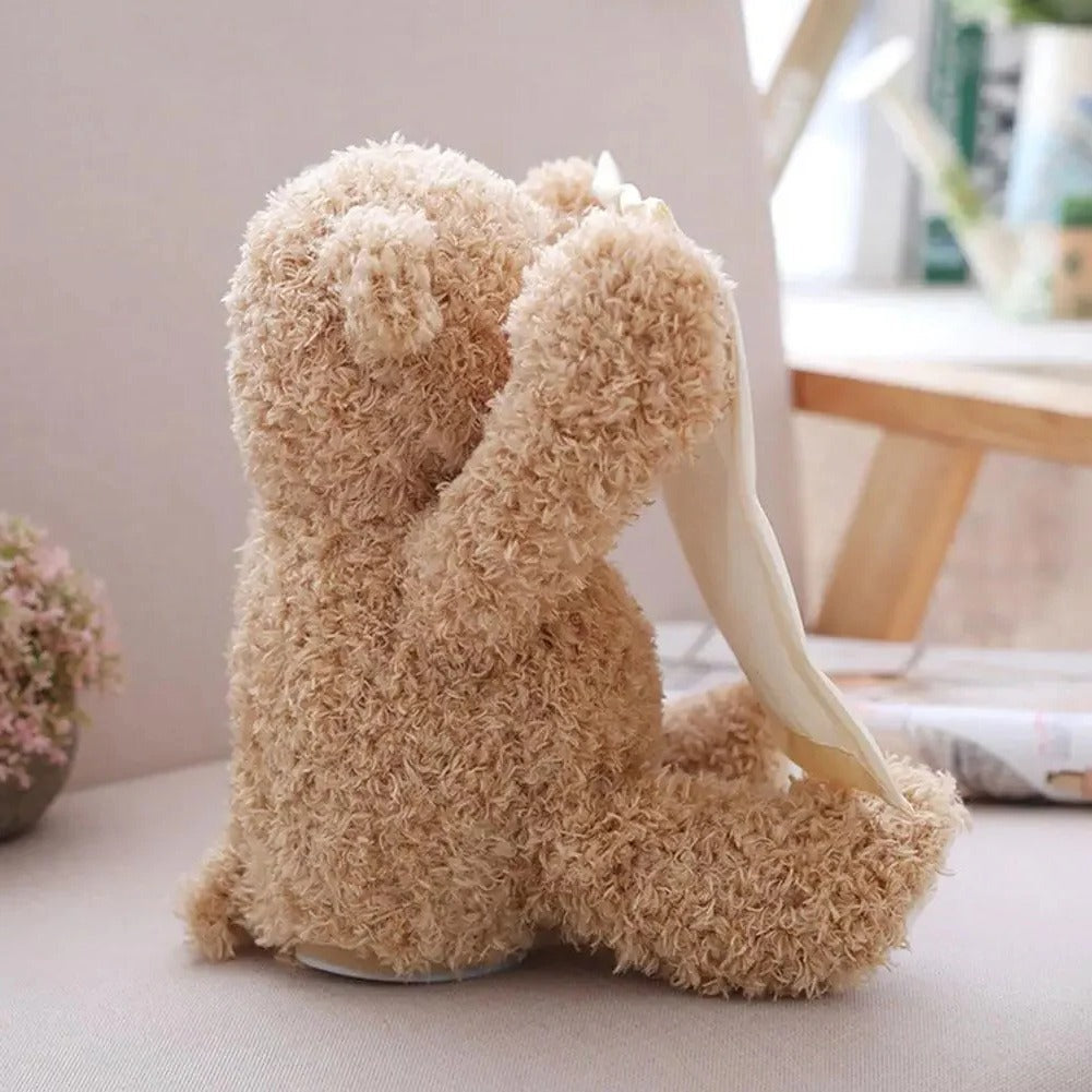 Interactive Plush Toy, Peek-A-Boo Teddy