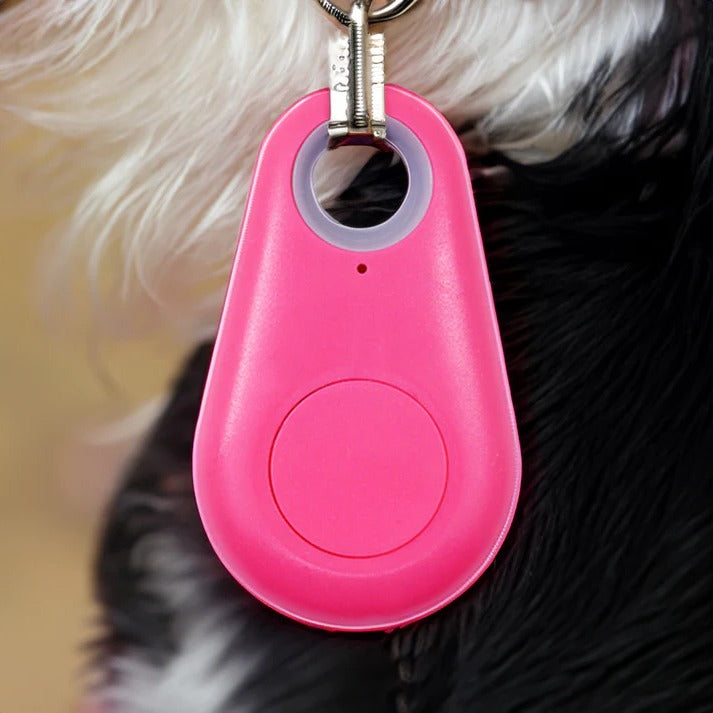 Smart Waterproof GPS Tracker for Pets