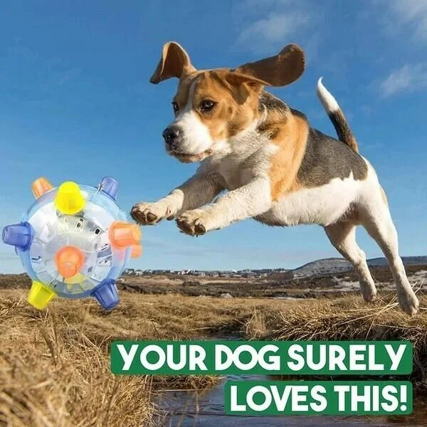 Jumping Activation Ball for Dogs, Interactive Toy for Exercise and Play