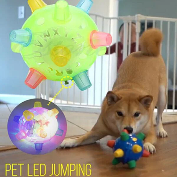 Jumping Activation Ball for Dogs, Interactive Toy for Exercise and Play