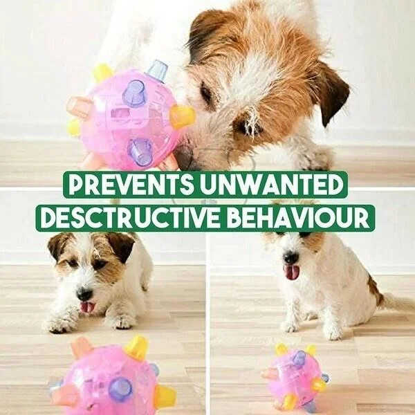 Jumping Activation Ball for Dogs, Interactive Toy for Exercise and Play
